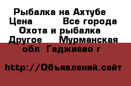 Рыбалка на Ахтубе › Цена ­ 500 - Все города Охота и рыбалка » Другое   . Мурманская обл.,Гаджиево г.